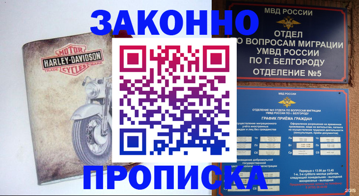 прописка для школы в Новочебоксарске